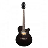 Semi Acoustic Guitar